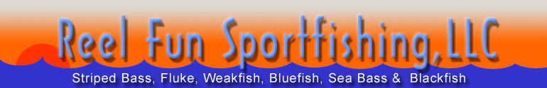 webheader4.jpg