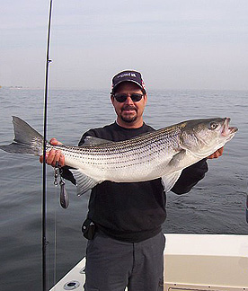 Claming Stripers along the beach