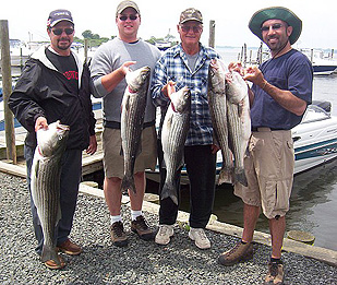 Sandy Hook Stripers