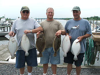 Summer '07 Fluke