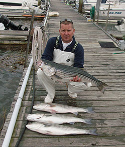 Donnie Stripers