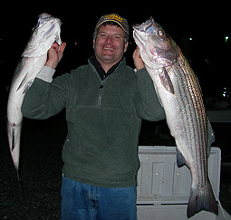 Showing Off Stripers