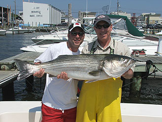 36 lb Striper