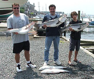 20 lb's Stripers