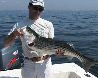 Spring Raritan Bay Striper