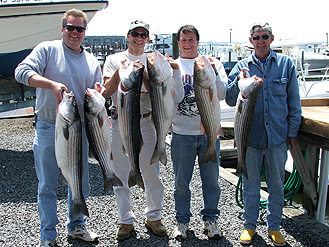 Raritan Bay Stripers