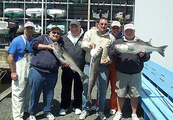Spring Striper Fishing