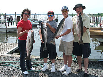 Stripers at Romer