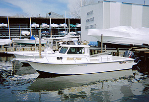 Beam view Parker 2520 Sport Cabin